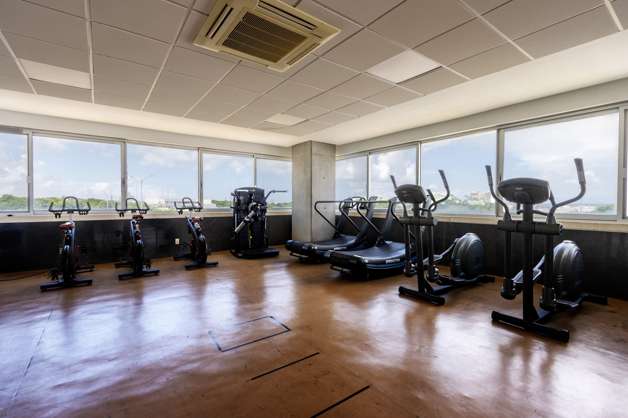 gimnasio campus Veracruz