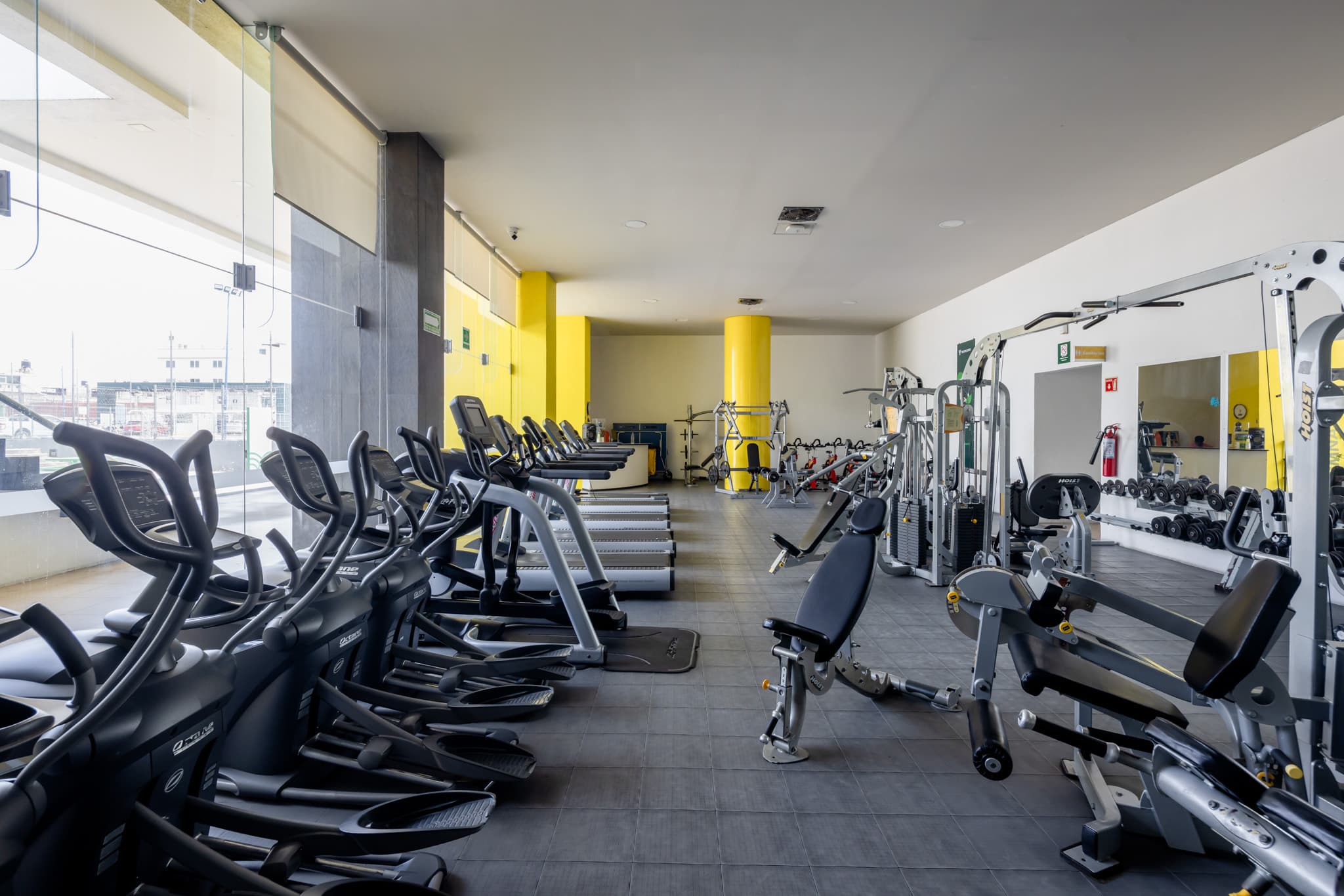 gimnasio campus toluca
