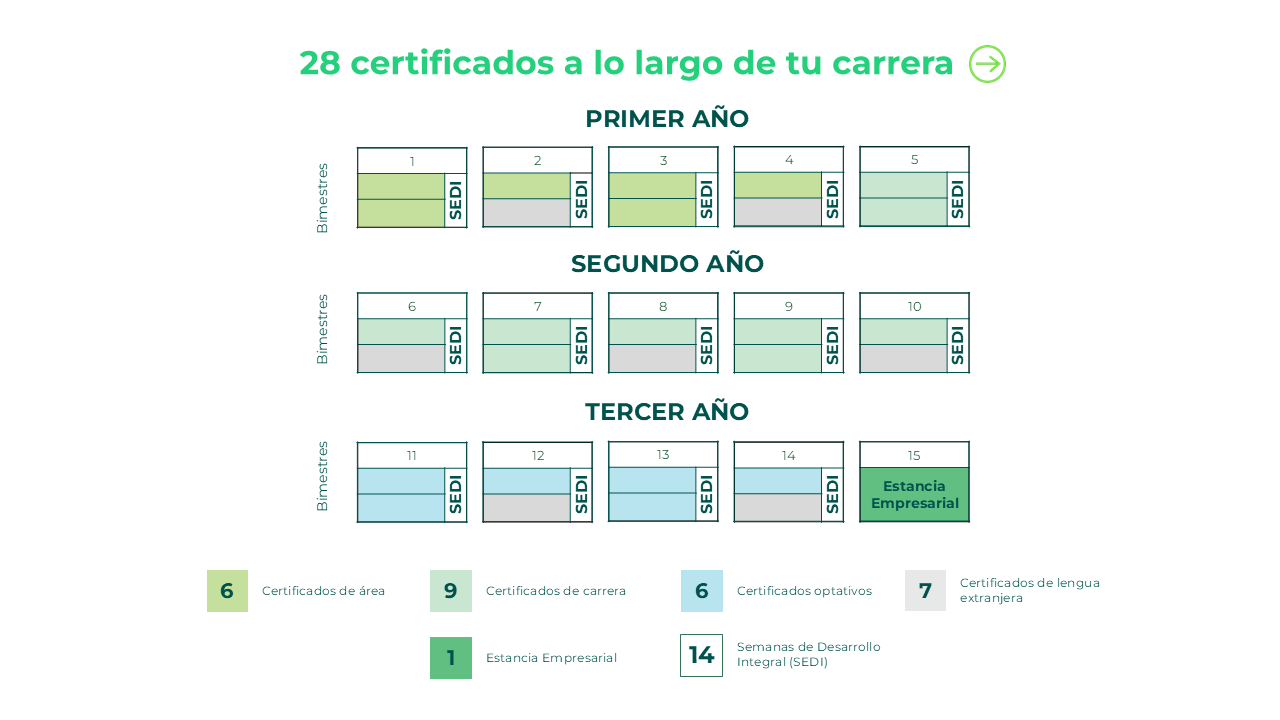 28 Certificados a lo largo de tu carrera